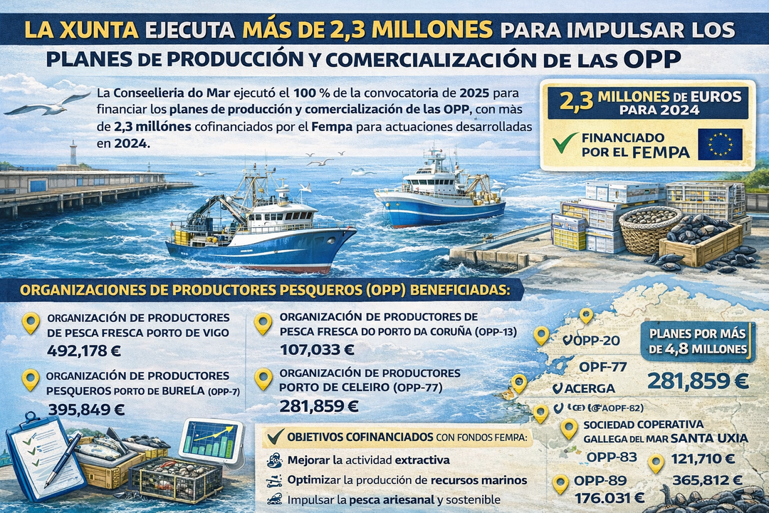 Infograf&iacute;a DL-G.