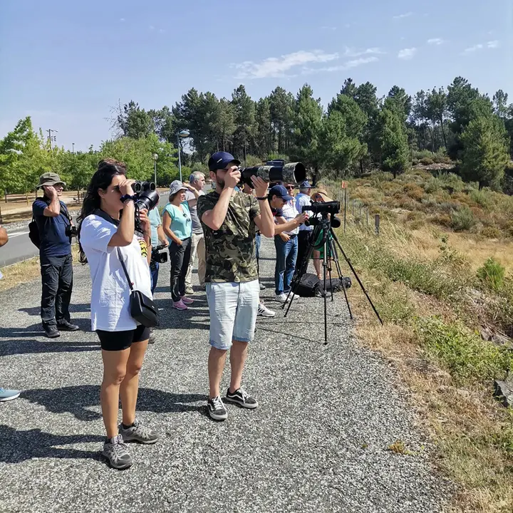 Observação de aves PNRVT (3)
