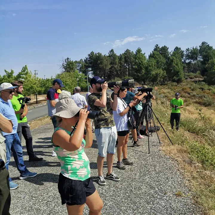 Observação de aves PNRVT (4)