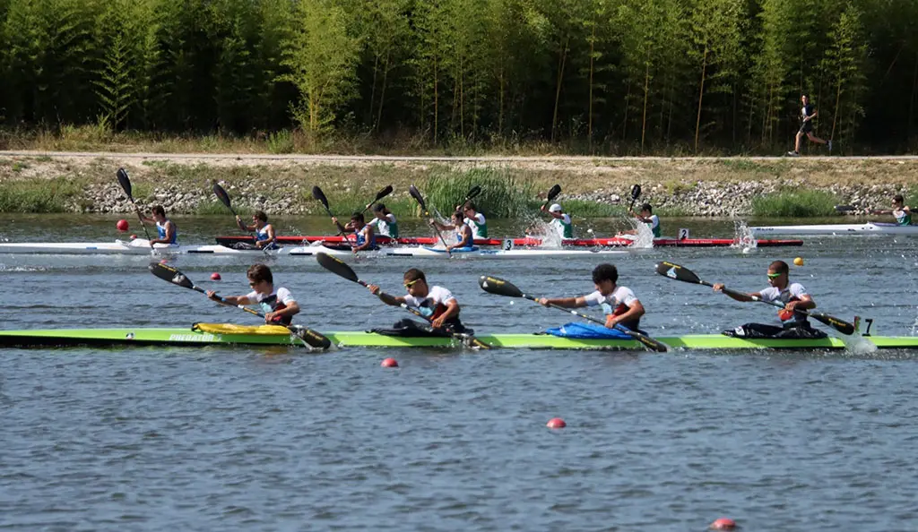 Datos adjuntos sin título 00021