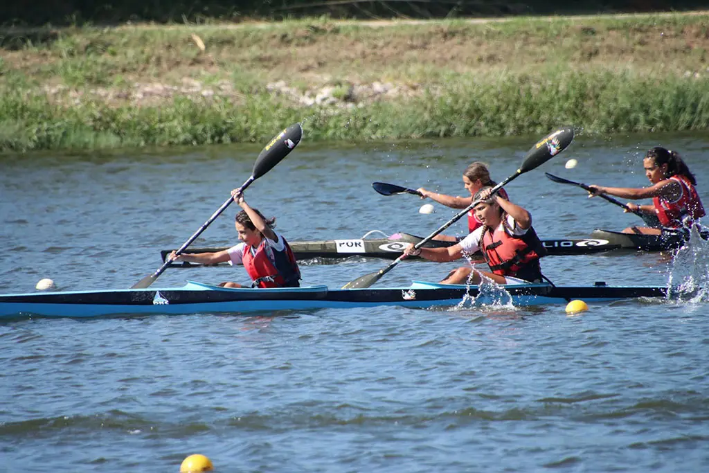 Datos adjuntos sin título 00024