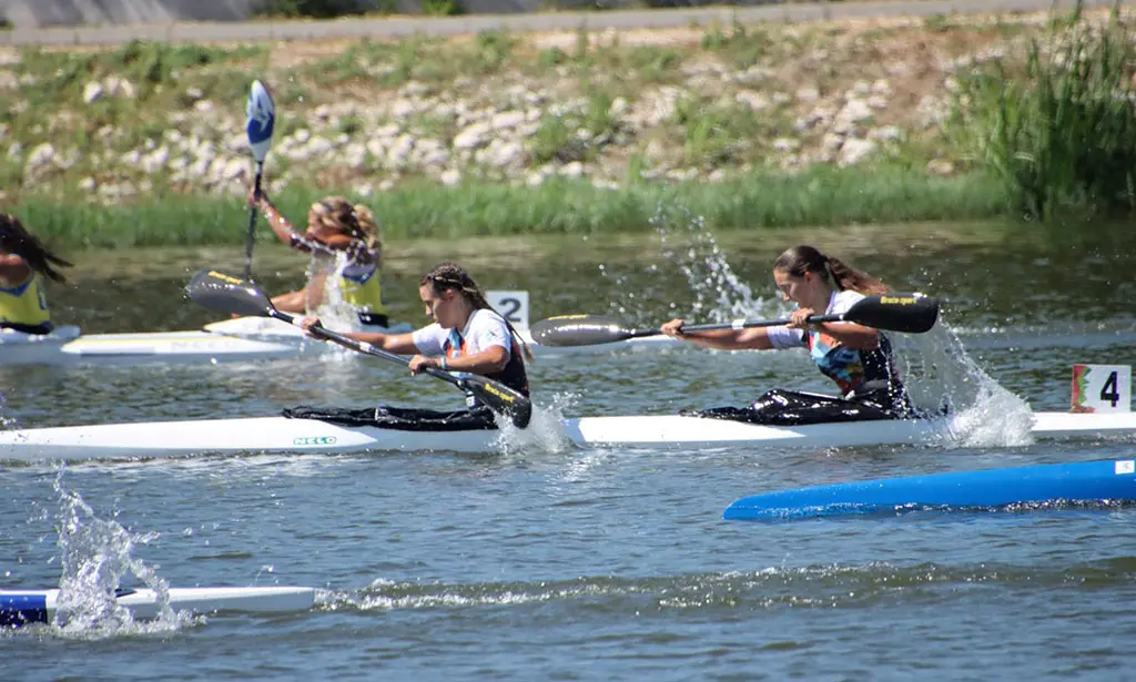 Datos adjuntos sin título 00033