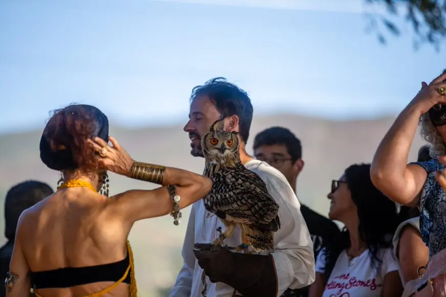 8bc1825b-dc23-4ff6-9c38-33943ca68f6f