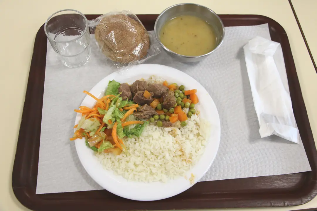 protocolo cachena e vacinação5