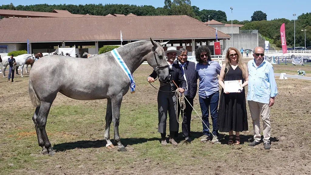 Mejor potra nacida en Galicia Equina 2023 Atlanta de Vida II DSC03766