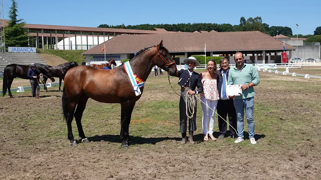 Mejor Potro nacido en Galicia Equina 2023 Lisonjero de Vida