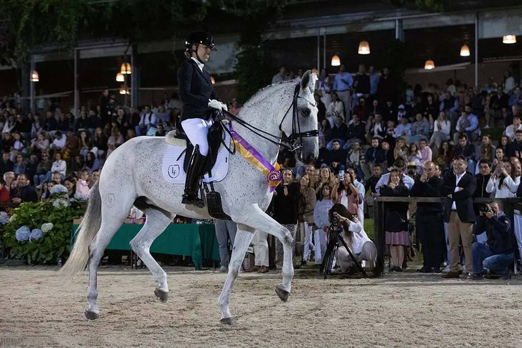 Feira do Cavalo de Ponte de Lima. ARCHIVO.