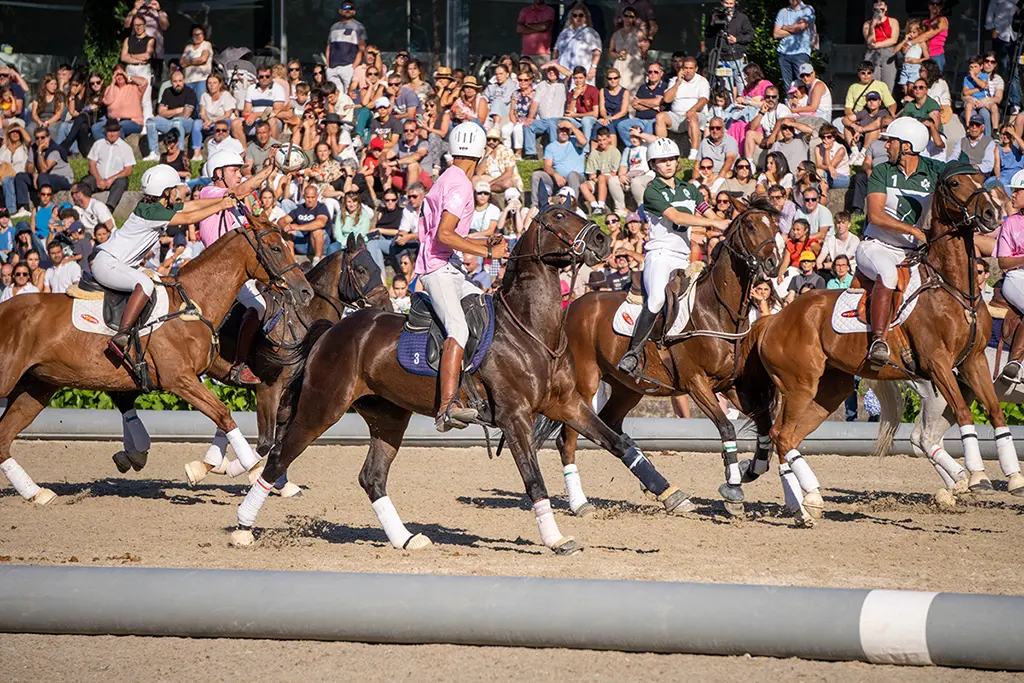 Feira-do-Cavalo-de-Ponte-de-Lima-regista-recorde-9