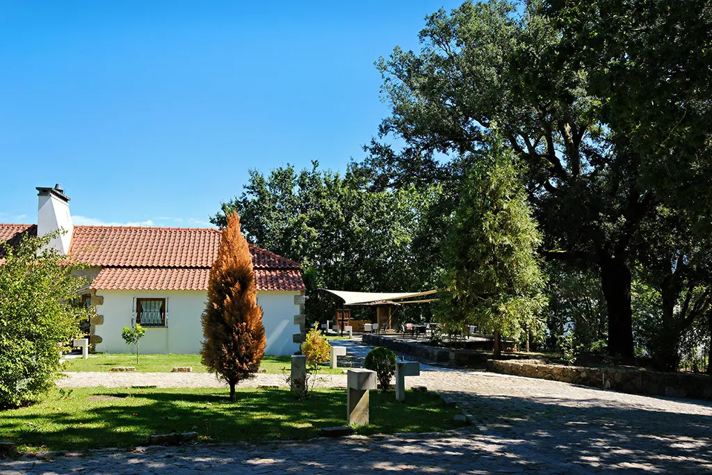 DSCF4596_PerfectlyClear