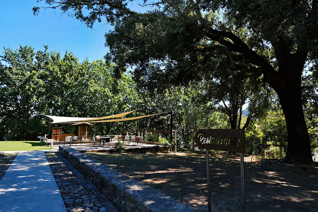 DSCF4603_PerfectlyClear