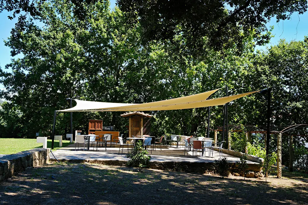 DSCF4605_PerfectlyClear