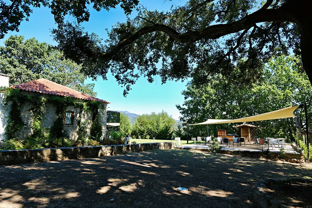 DSCF4606_PerfectlyClear