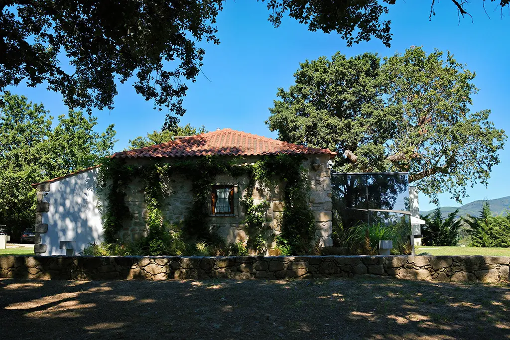 DSCF4609_PerfectlyClear