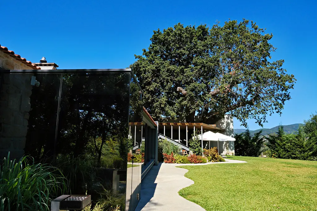 DSCF4617_PerfectlyClear