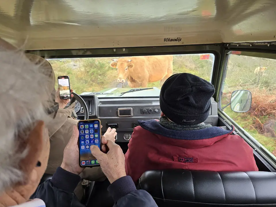 Se nos interponía una vaca en nuestro camino....