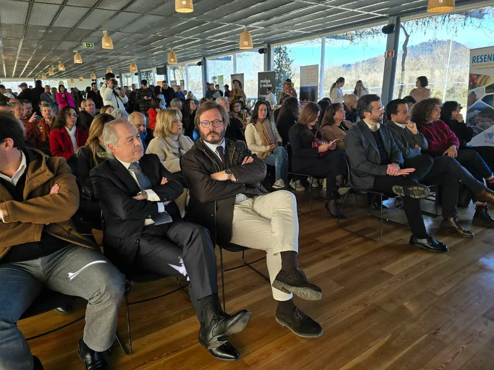 photo_2025-01-16_00-04-46 (4)