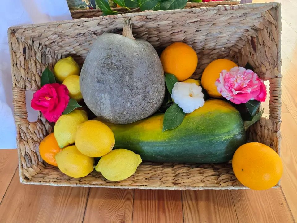 photo_2025-01-16_00-04-47 (6)