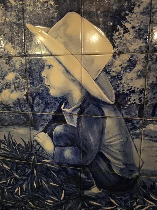 7photo_2025-01-24_22-21-07