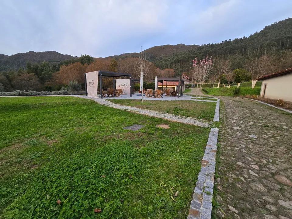 11photo_2025-01-24_22-20-47