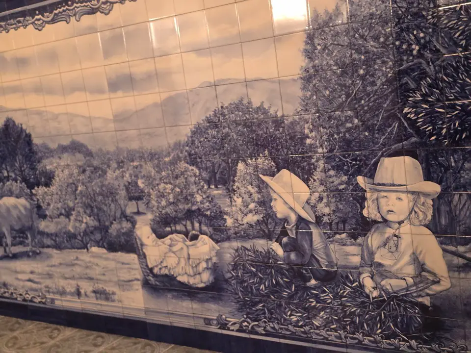 10photo_2025-01-24_22-21-07