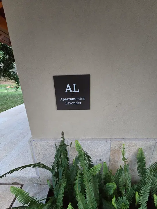 21photo_2025-01-24_22-20-38