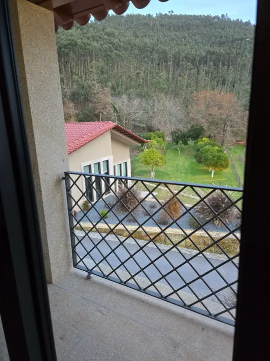 26photo_2025-01-24_22-20-38