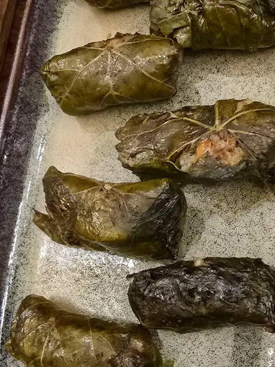 54photo_2025-01-24_22-20-35