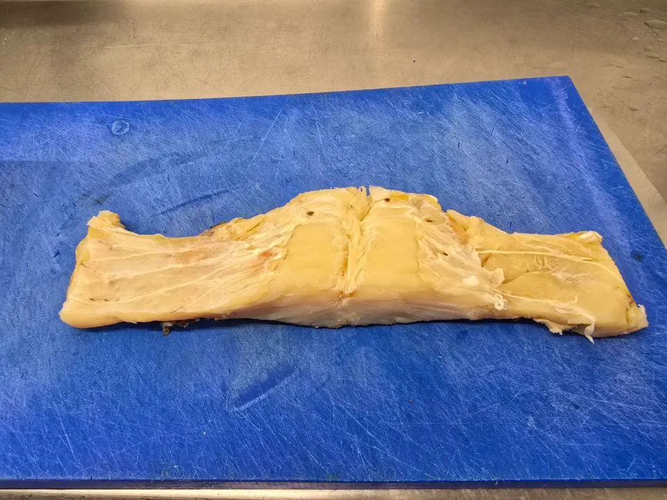 1photo_2025-01-29_19-52-47