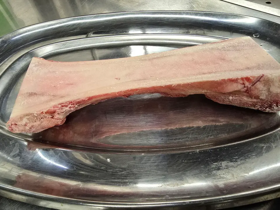 1 photo_2025-02-20_22-26-40