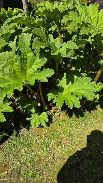 photo_2025-04-23_23-59-21 (4)