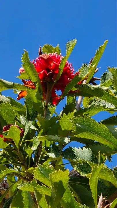 photo_2025-04-23_23-59-21 (3)