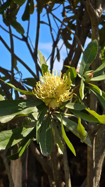 photo_2025-04-23_23-59-21 (2)