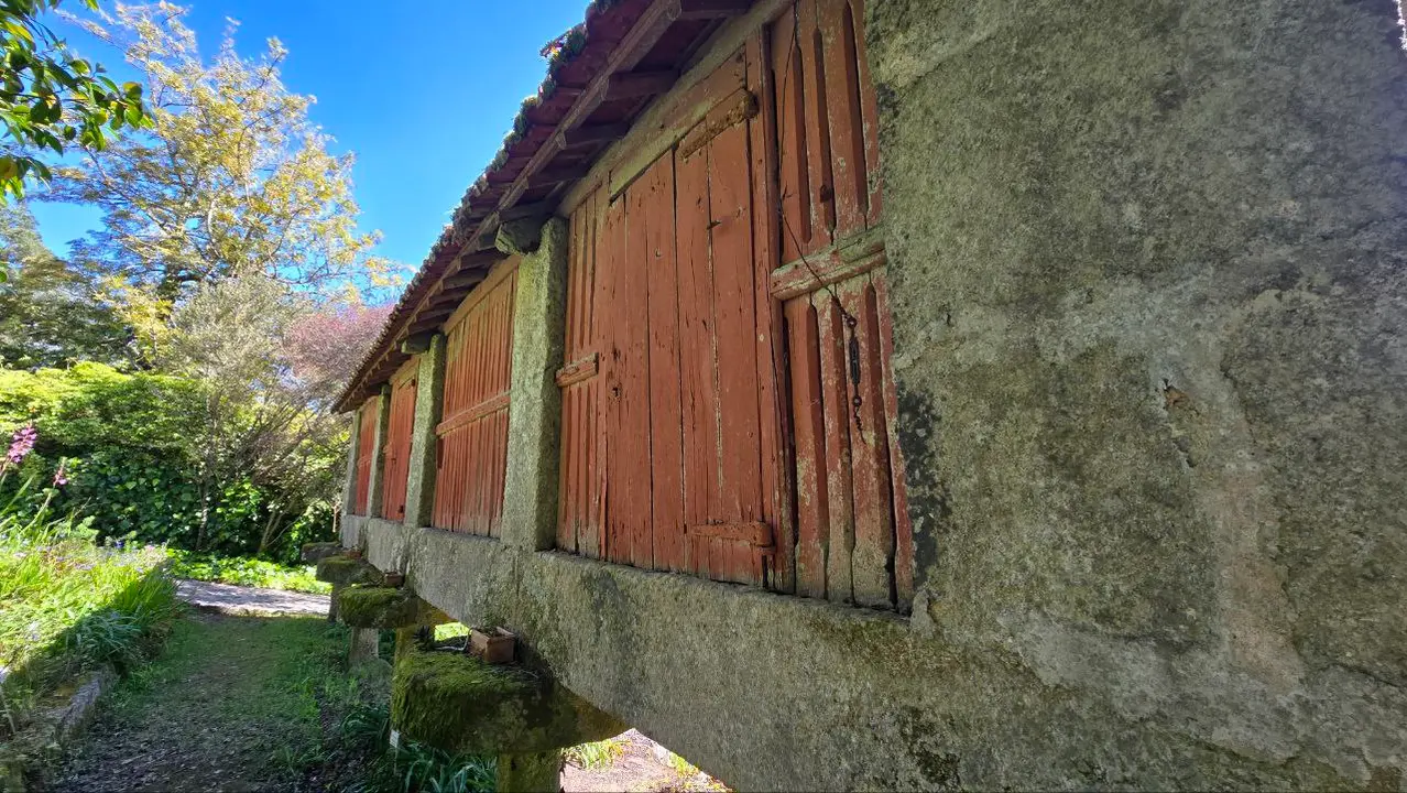 photo_2025-04-23_23-59-22 (10)