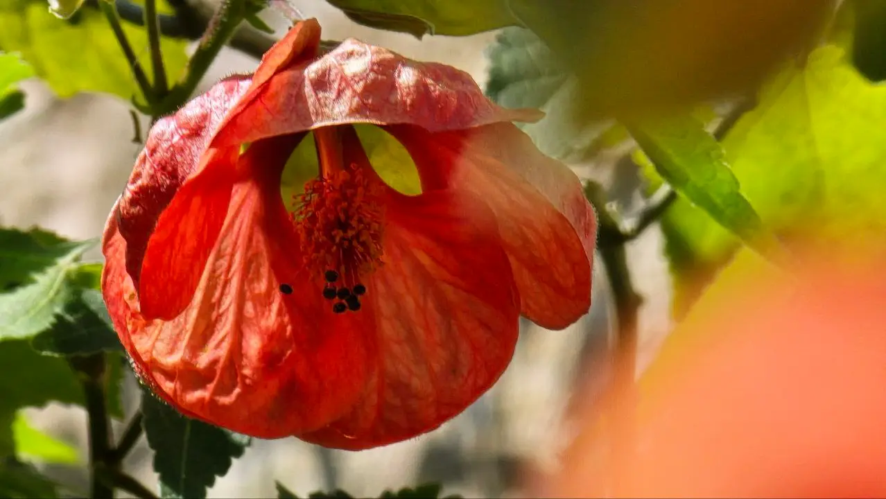 photo_2025-04-23_23-59-22 (5)