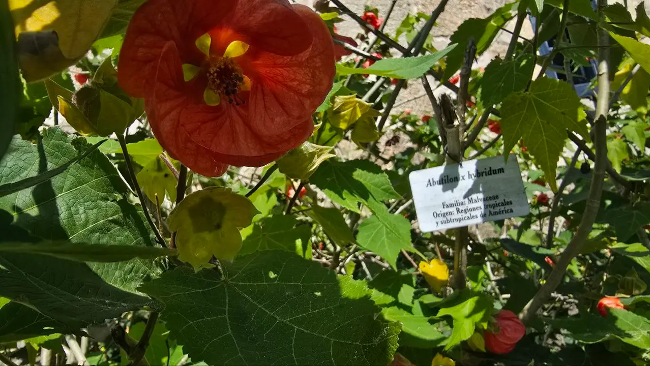 photo_2025-04-23_23-59-22 (6)