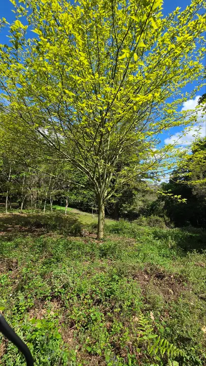 photo_2025-04-23_23-59-23 (14)