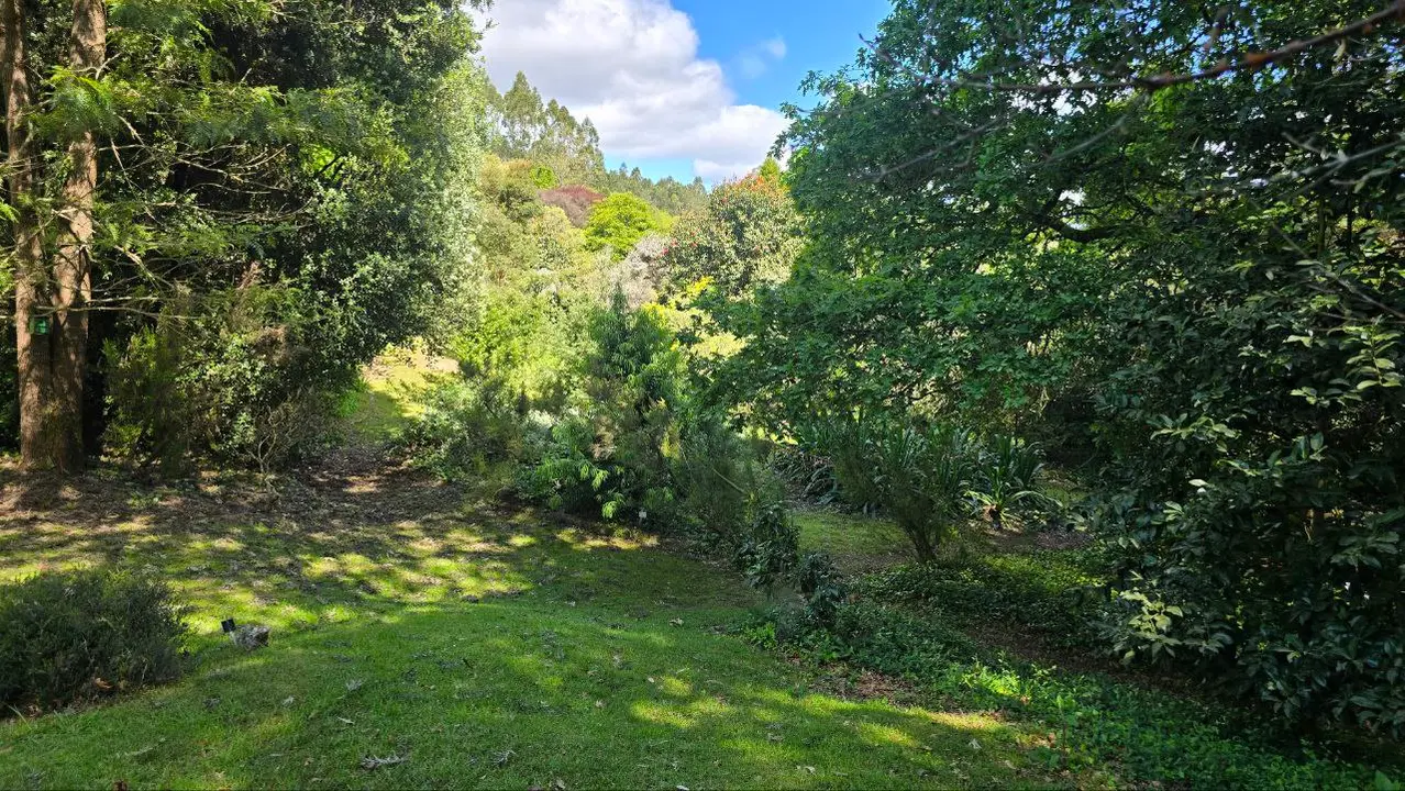 photo_2025-04-23_23-59-23 (10)