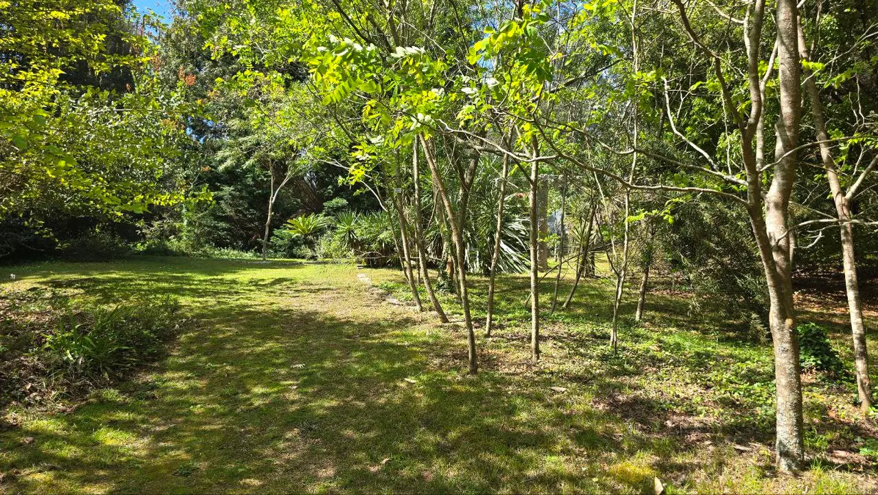 photo_2025-04-23_23-59-23 (9)