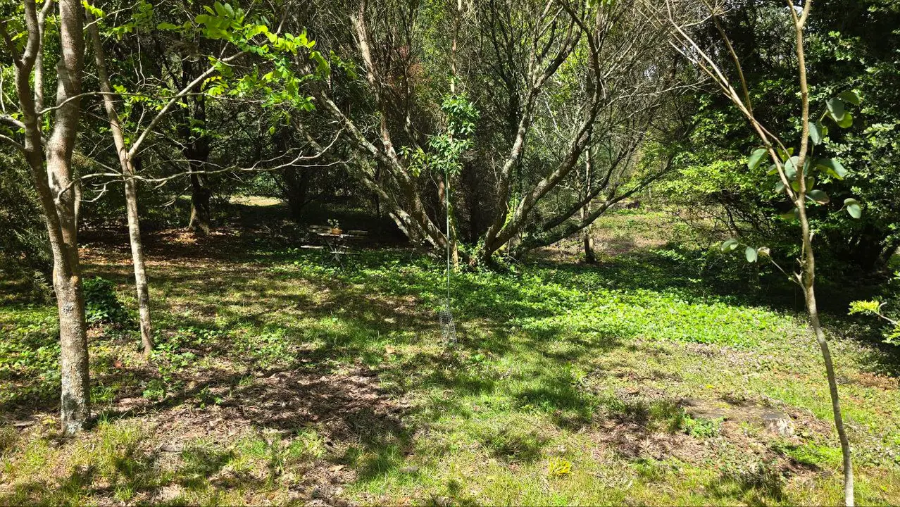 photo_2025-04-23_23-59-23 (8)