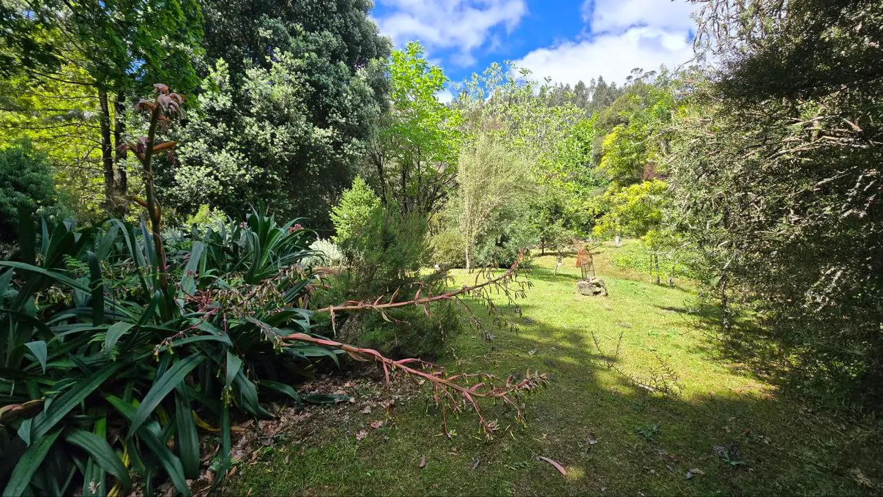 photo_2025-04-23_23-59-23 (7)