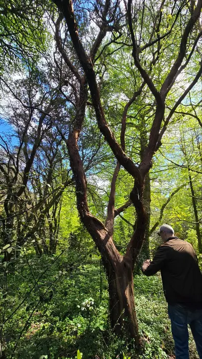 photo_2025-04-23_23-59-23 (6)