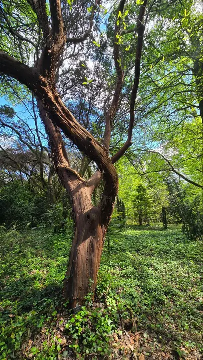 photo_2025-04-23_23-59-23 (4)