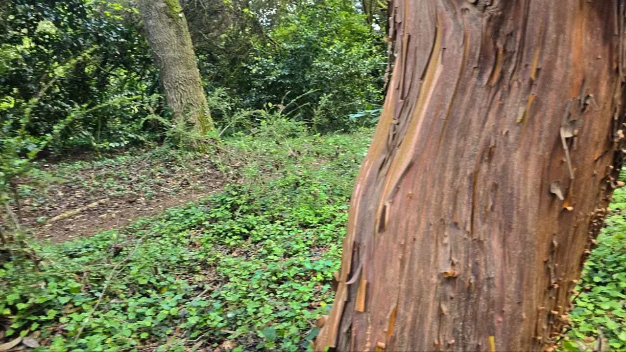 photo_2025-04-23_23-59-23 (2)