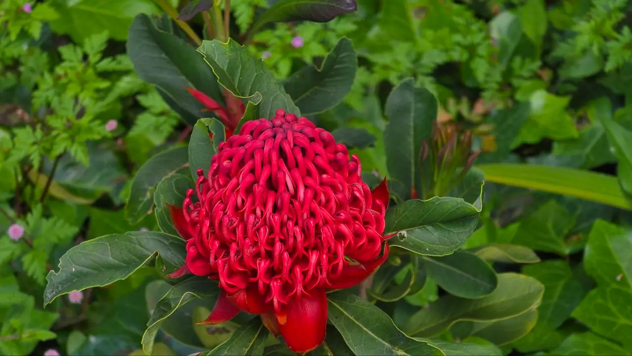 photo_2025-04-23_23-59-32 (27)