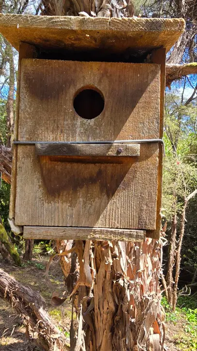 photo_2025-04-23_23-59-32 (20)