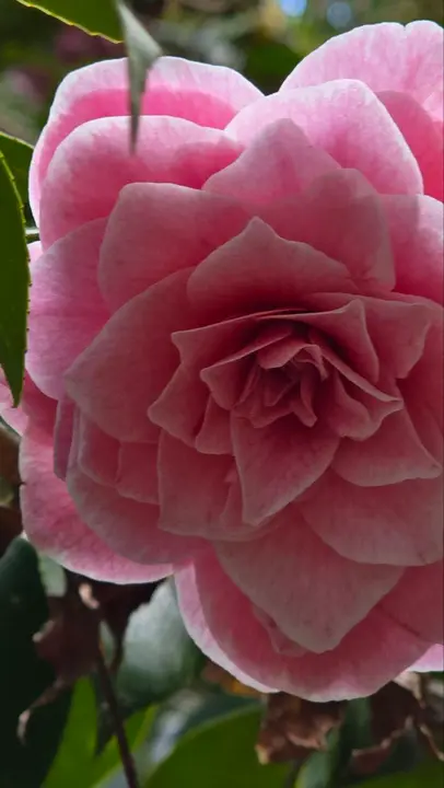 photo_2025-04-23_23-59-32 (18)