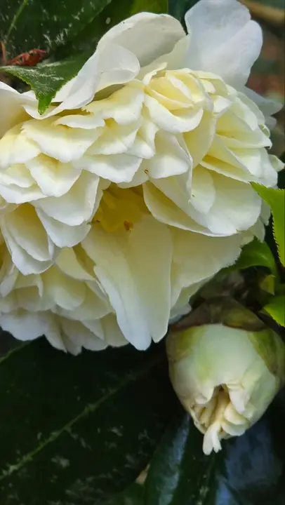 photo_2025-04-23_23-59-32 (15)