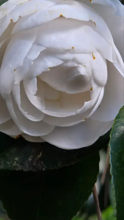 photo_2025-04-23_23-59-32 (14)