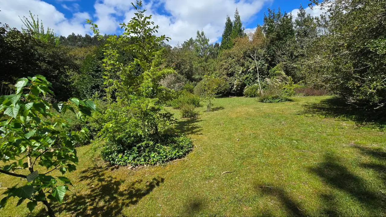 photo_2025-04-23_23-59-32 (7)