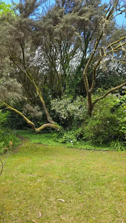 photo_2025-04-23_23-59-32 (6)